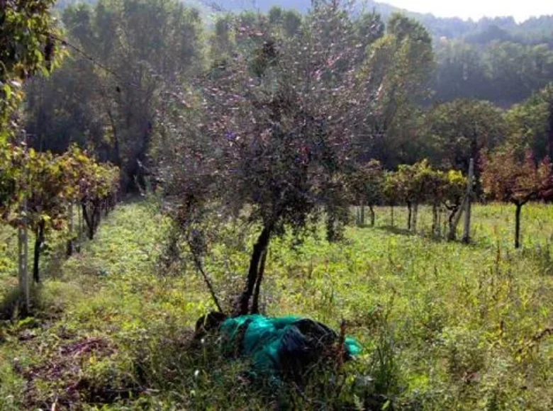 Land 6 000 m² Terni, Italy