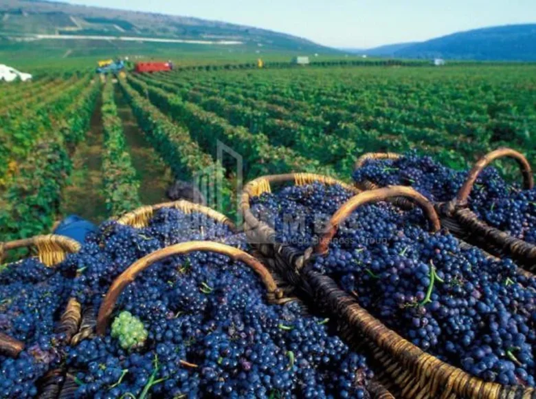 Działki 100 000 m² Tbilisi, Gruzja