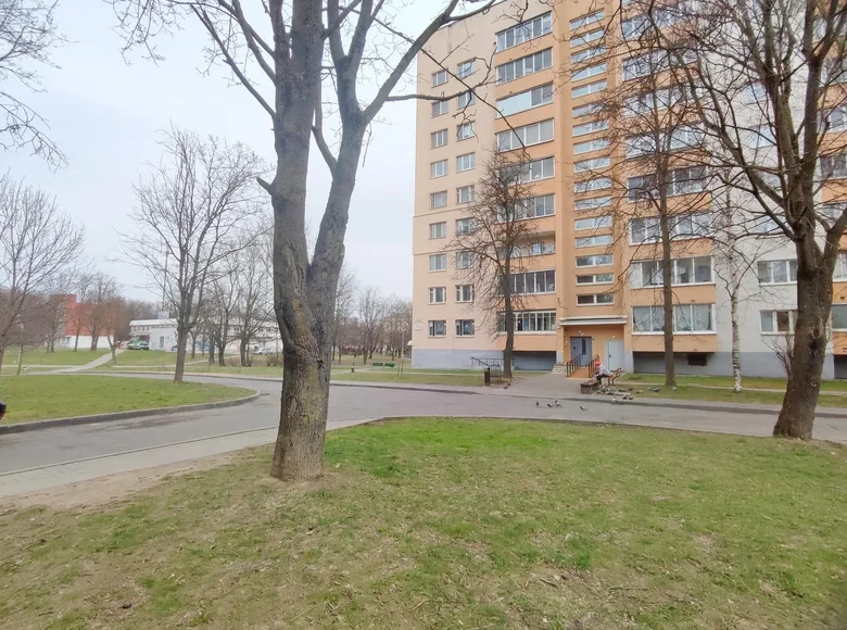 Квартира 1 комната 30 м² Минск, Беларусь