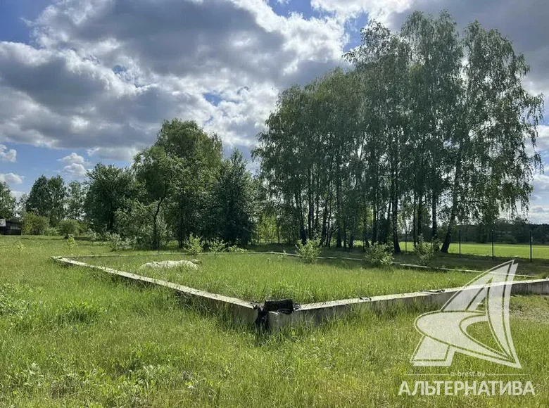 Land  Malyja Radvanicy, Belarus