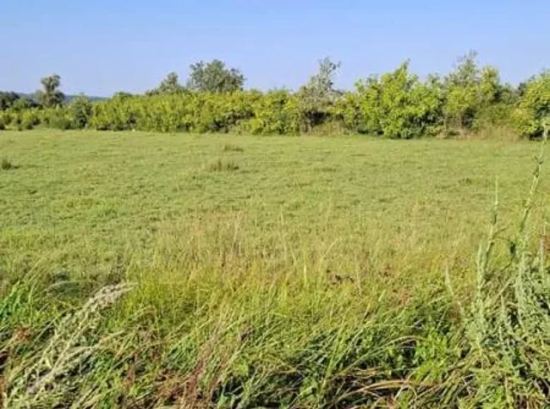 Land  Ulcinj, Montenegro