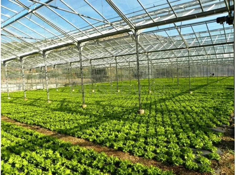 Zakład produkcyjny 3 060 m² Kastel Stafilic, Chorwacja