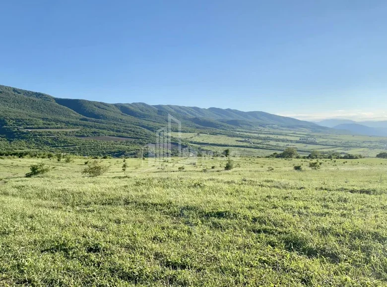 Atterrir 1 000 m² Tbilissi, Géorgie