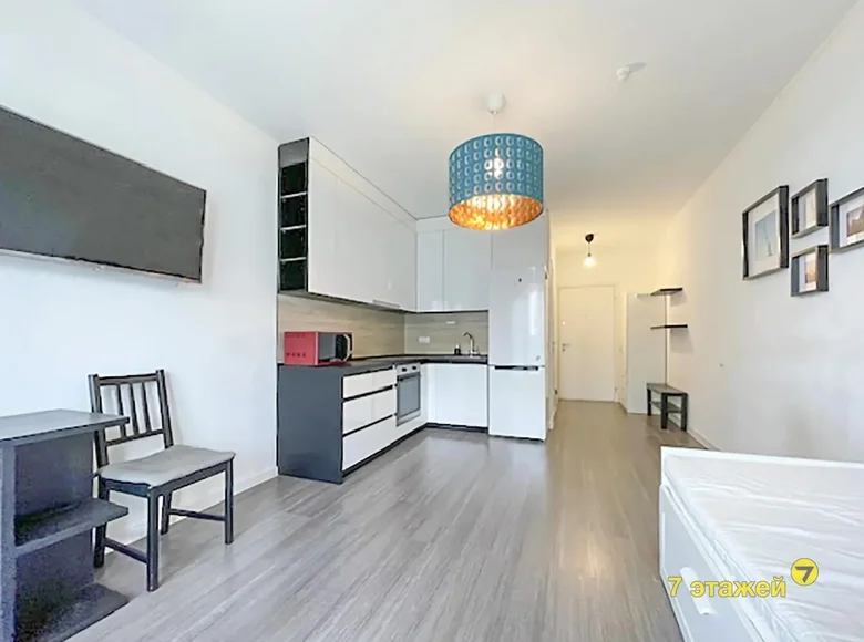 Appartement 1 chambre 26 m² Kopishche, Bélarus