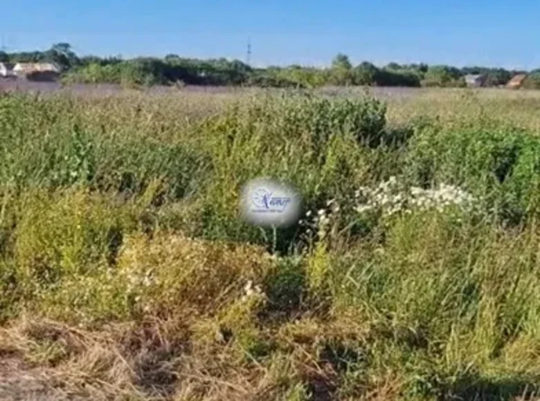 Propriété commerciale 700 m² à District fédéral du Nord-Ouest, Russie