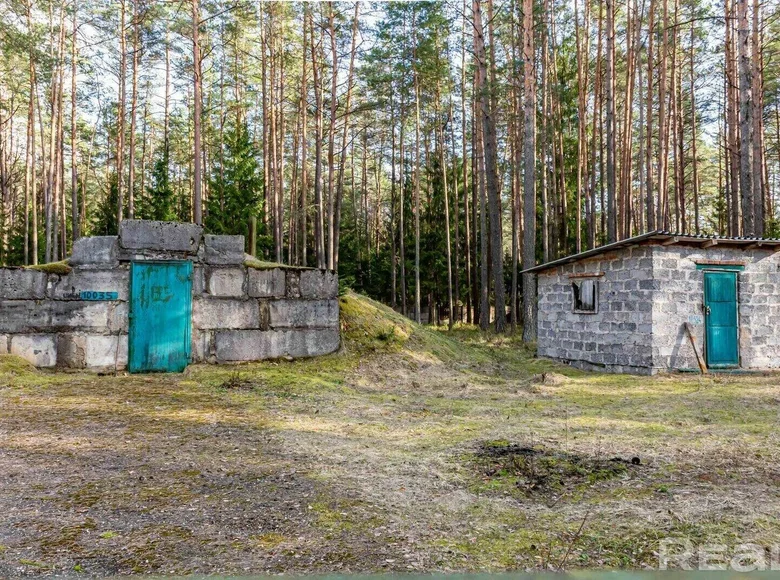 Commercial property 3 583 m² in Rakauski sielski Saviet, Belarus