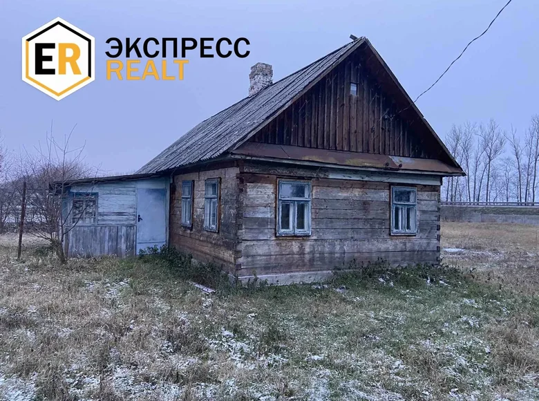 House 49 m² Pyeski, Belarus