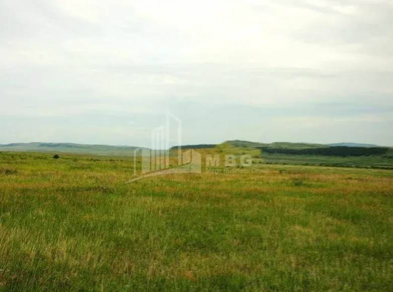 Земельные участки 10 000 м² Тбилиси, Грузия