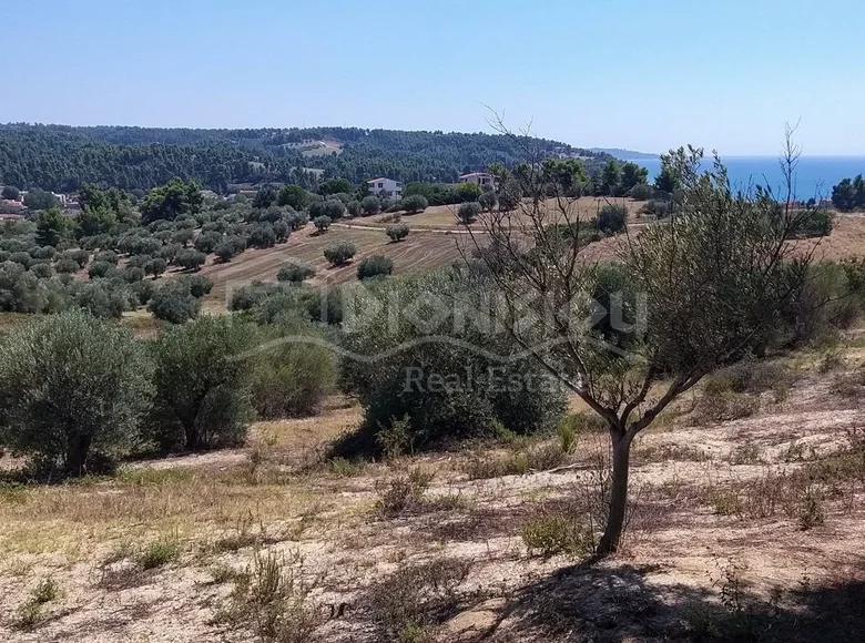 Działki 10 000 m² Siviri, Grecja