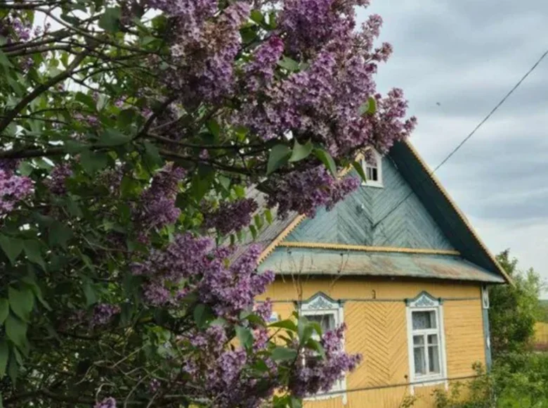 Haus 166 m² Slabada, Belarus