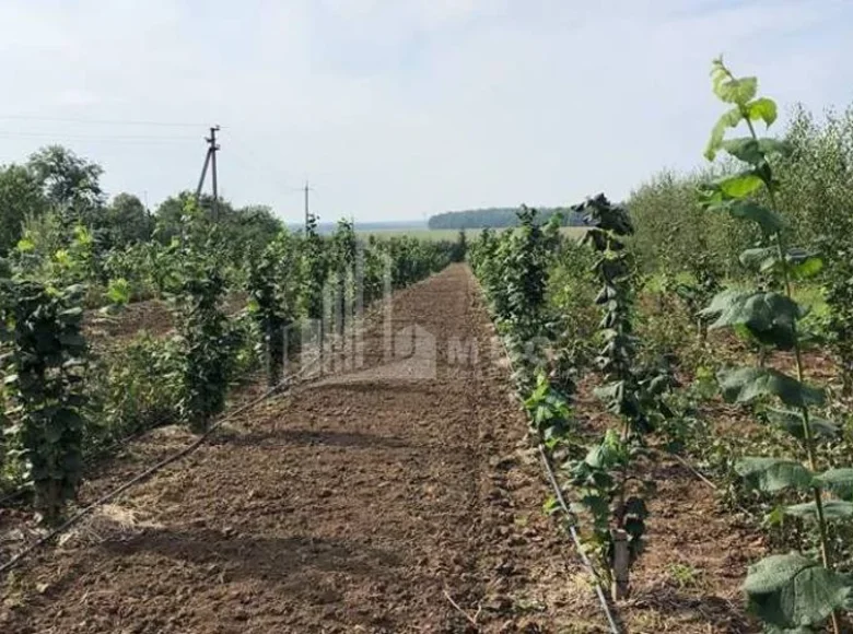 Atterrir 21 m² Tbilissi, Géorgie