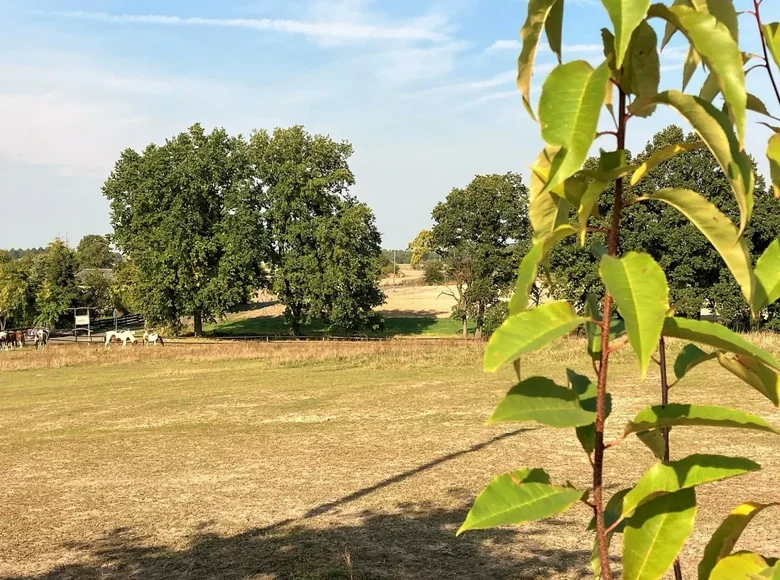 Land 1 272 m² Potrzanowo, Poland