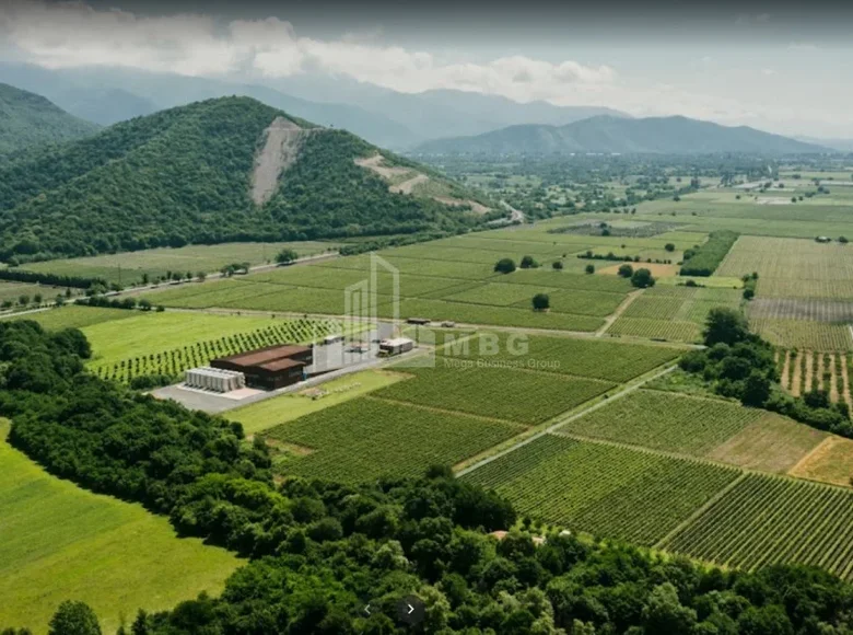 Land 13 000 m² Tbilisi, Georgia