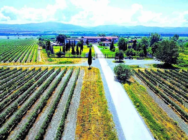 Propriété commerciale 55 000 m² à Tbilissi, Géorgie