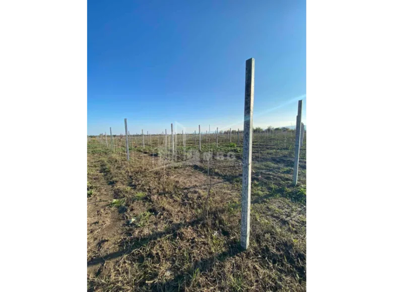 Grundstück 50 000 m² Tiflis, Georgien