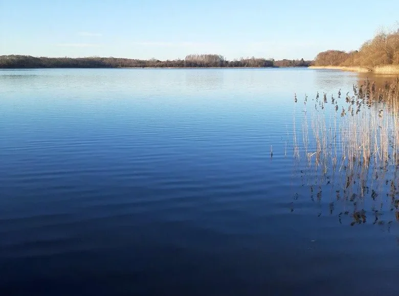 Haus 54 m² Usacki sielski Saviet, Belarus