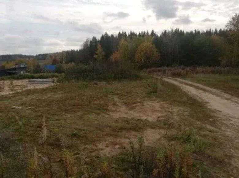 Działki  Piekalinski sielski Saviet, Białoruś