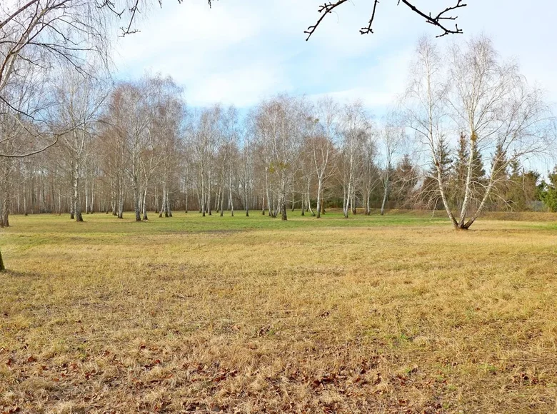 Land 1 room 12 242 m² Warsaw, Poland