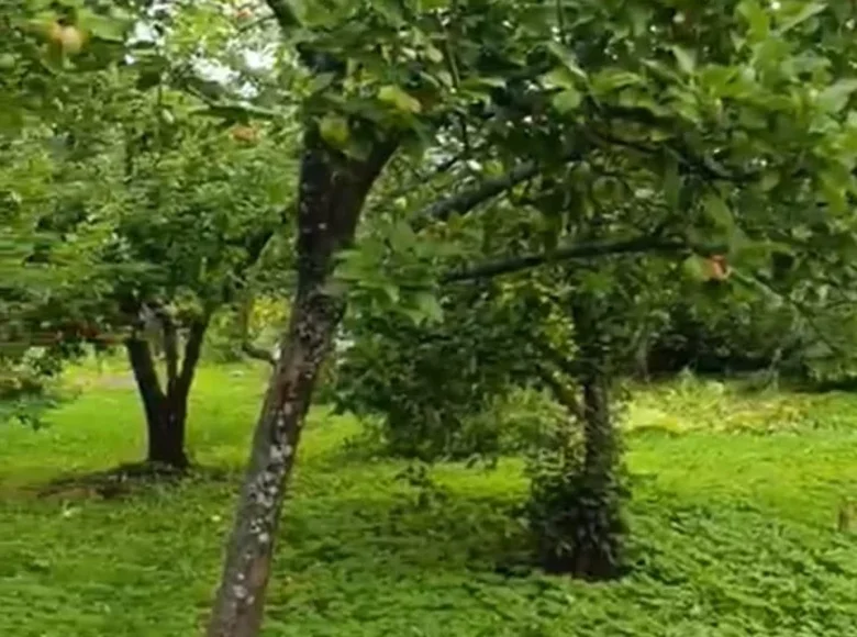 Parcelas  Anninskoe gorodskoe poselenie, Rusia