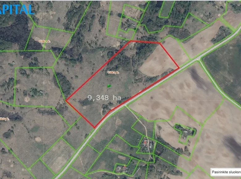 Land  Vibrantiskes, Lithuania