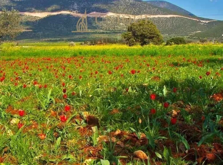 Atterrir  Polemi, Chypre