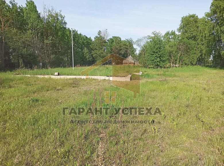 Działki  Radvanicki sielski Saviet, Białoruś