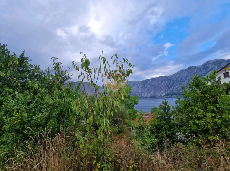 Commercial property 313 m² in Montenegro, Montenegro