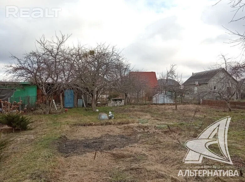 Land  Muchaviecki sielski Saviet, Belarus