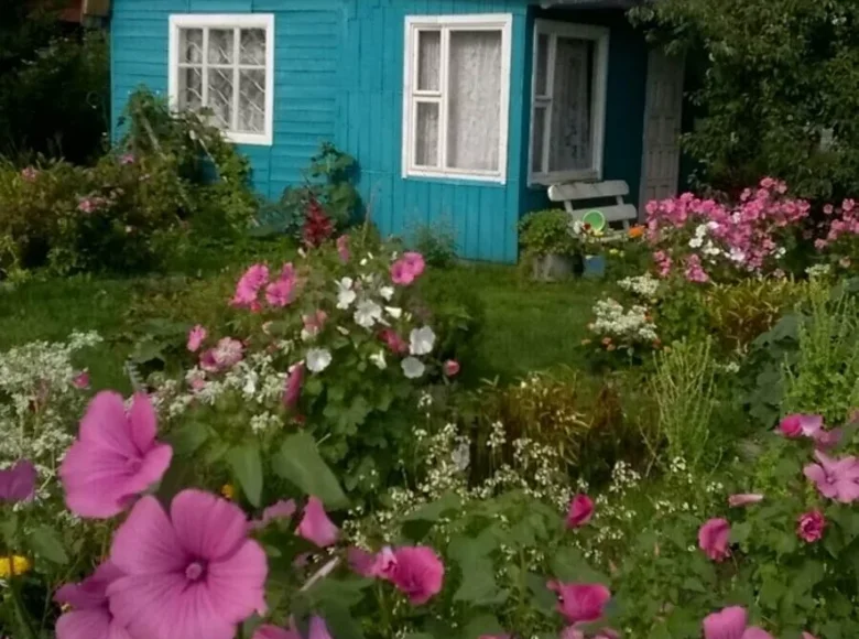 House 30 m² Zabalocki sielski Saviet, Belarus