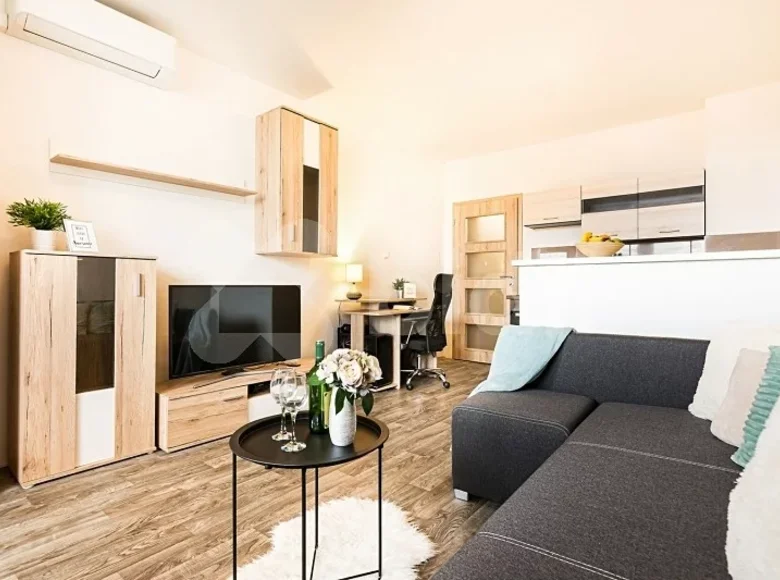 1 bedroom apartment 26 m² okres Brno mesto, Czech Republic