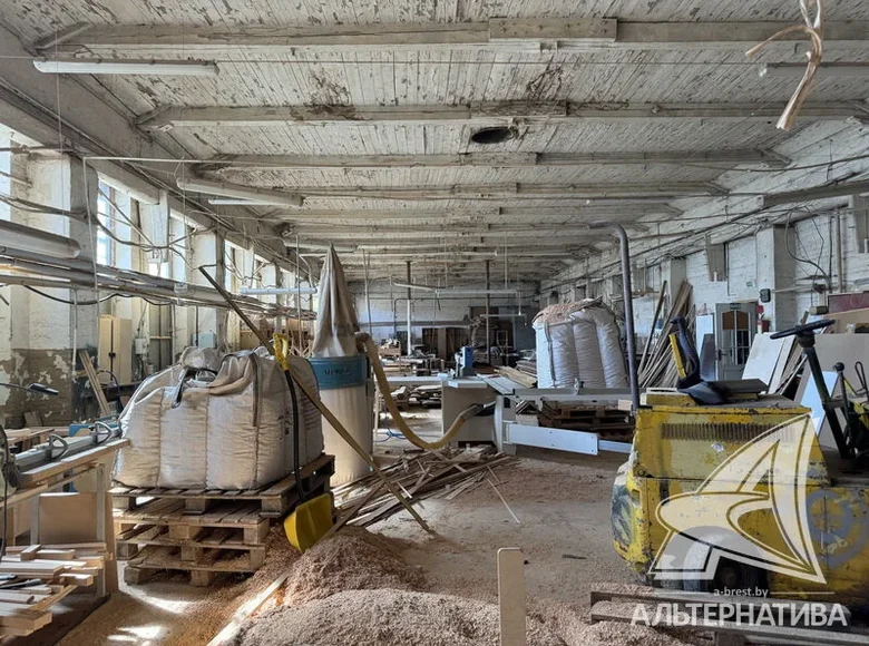 Produktion 494 m² in Ciuchinicy, Belarus