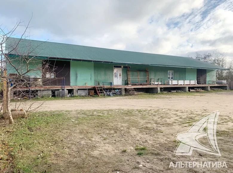 Produktion 445 m² Muchaviecki sielski Saviet, Belarus