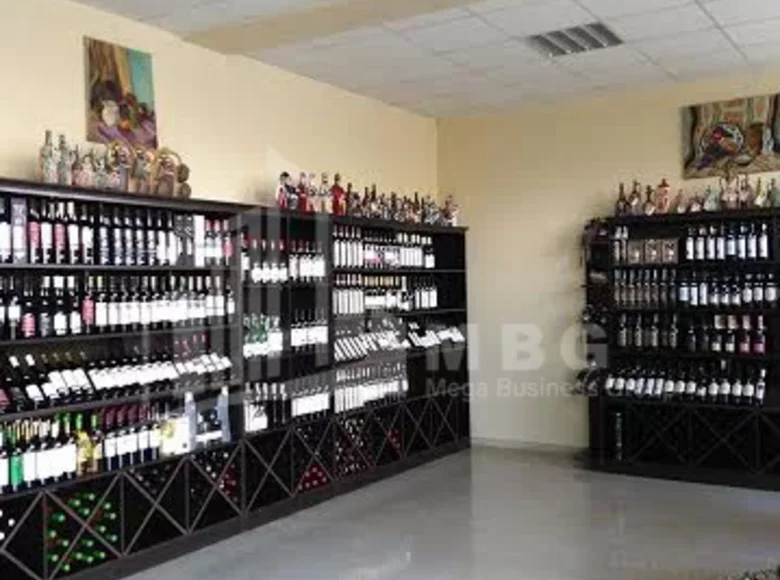Коммерческое помещение 140 м² Тбилиси, Грузия