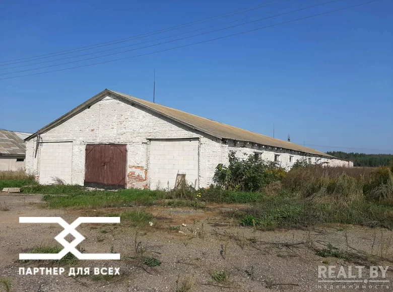Magazyn 1 049 m² Zodzinski sielski Saviet, Białoruś