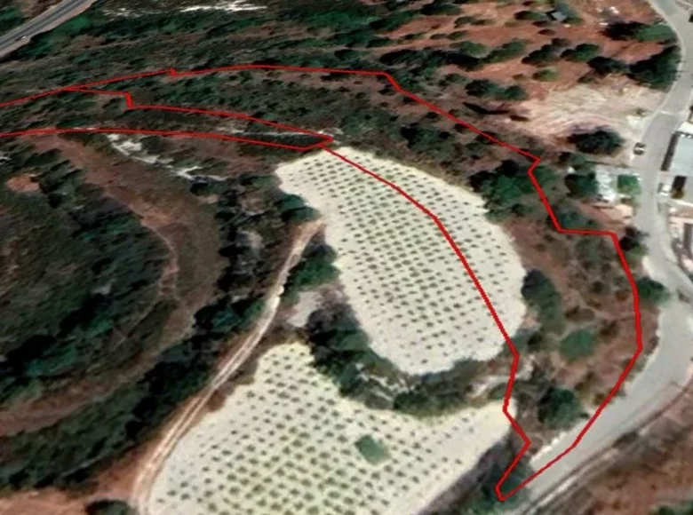 Land  Tsada, Cyprus