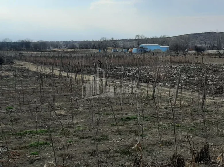 Działki 3 500 m² Tbilisi, Gruzja