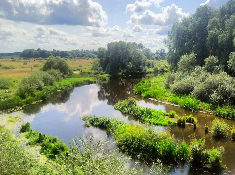 Land  Mahilna, Belarus