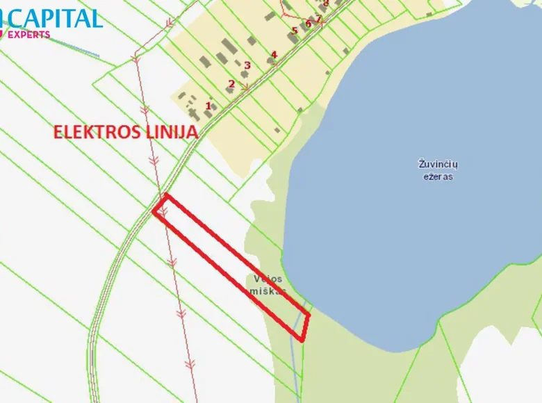 Atterrir  Manciusenai, Lituanie