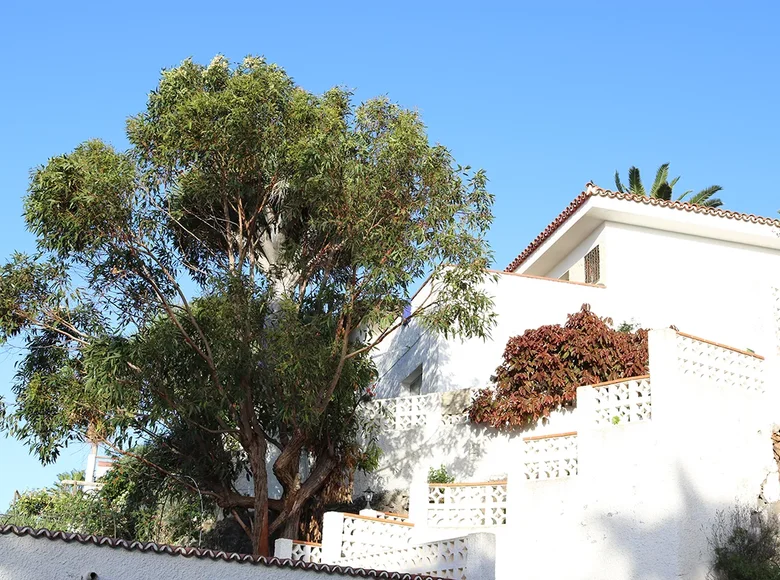 2 bedroom house  Canary Islands, Spain