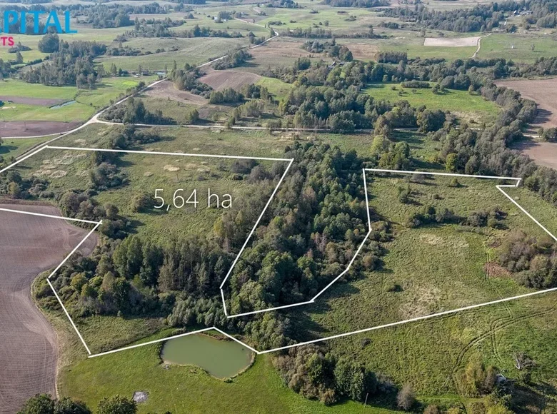 Grundstück  Naideliai, Litauen