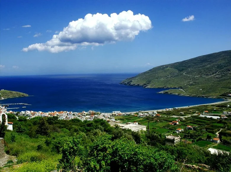 Land 1 room  Municipality of Andros, Greece