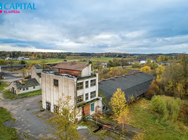 Propriété commerciale 1 977 m² à Pyktiske, Lituanie