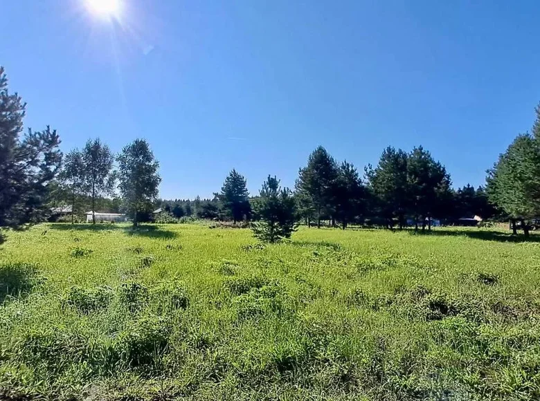 Grundstück  Babinicki sielski Saviet, Belarus