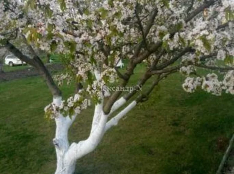 Grundstück  Donezk, Ukraine