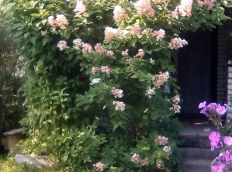 Дом 2 комнаты 72 м² Anninskoe gorodskoe poselenie, Россия