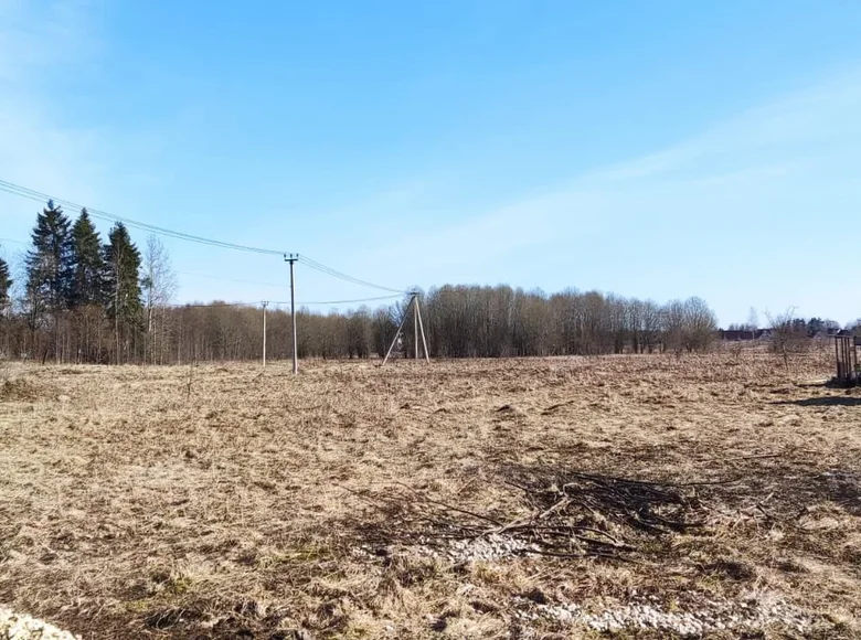 Land  Gatchinsky District, Russia