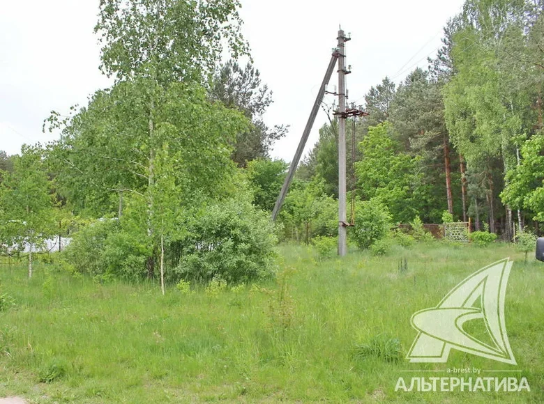 Land  Carnaucycki sielski Saviet, Belarus