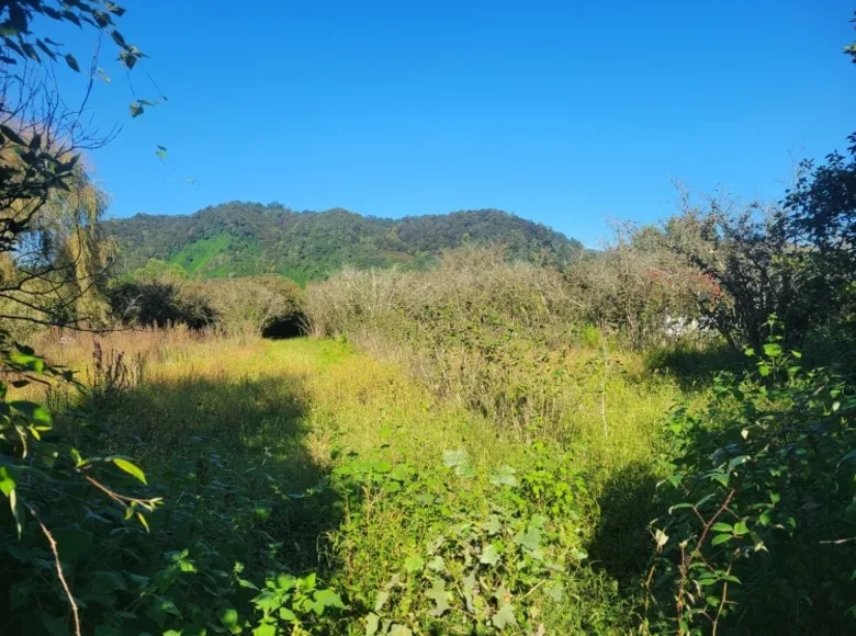 Земельные участки 2 700 м² Озургети, Грузия