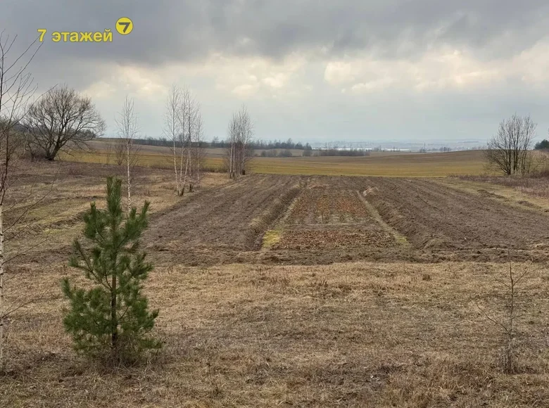 Land  Drackauski sielski Saviet, Belarus