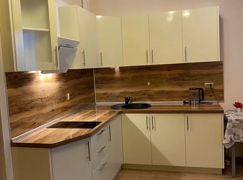 Apartment 25 m² in Kudrovo, Russia